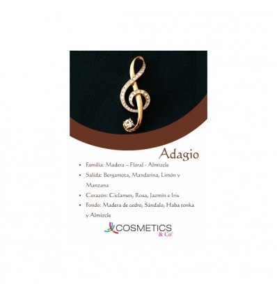 ADAGIO EDT 100 ml vapo HOMBRE