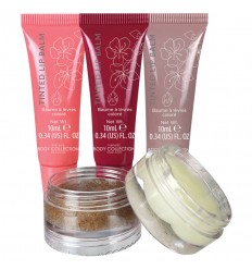 BODY COLLECTION SET CUIDADO LABIOS 5 pz Ref. 993610