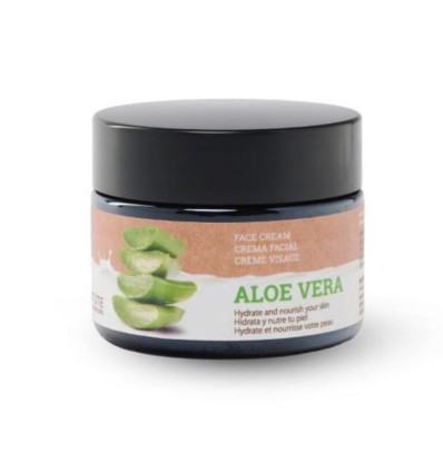 IDC INSTITUTE FACE CREAM ALOE VERA 50 ML R 42104