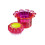 TANGLE TEEZER MAGIC FLOWERPOT CEPILLO CAPILAR